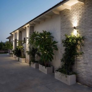 בריק פירוק שמנת סלין